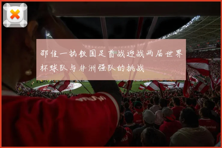 邵佳一执教国足首战迎战两届世界杯球队与非洲强队的挑战