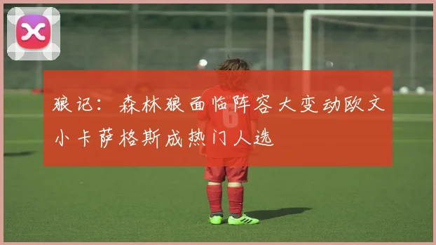 狼记：森林狼面临阵容大变动欧文小卡萨格斯成热门人选