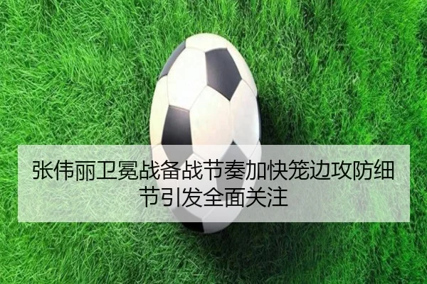 张伟丽卫冕战备战节奏加快笼边攻防细节引发全面关注